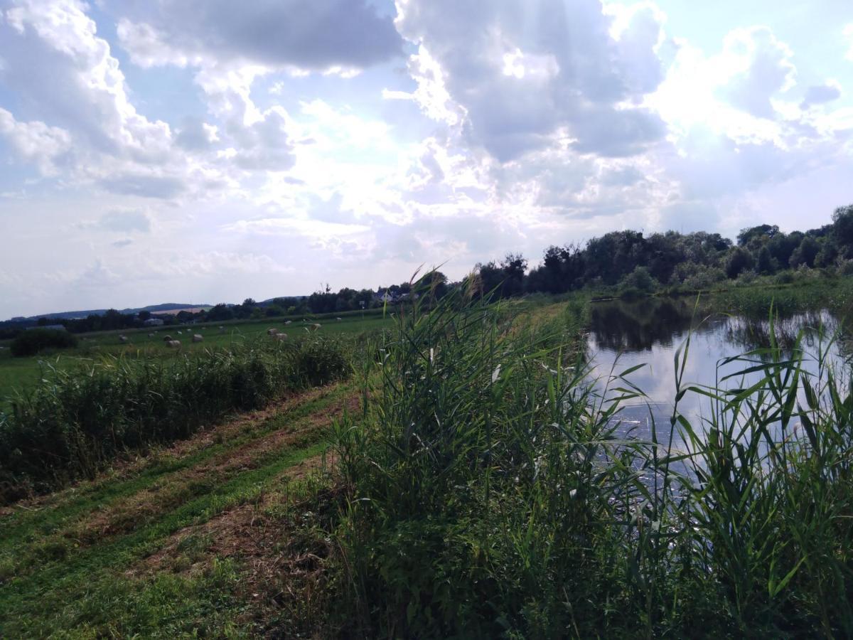 Rybakowka Villa Rejowiec ภายนอก รูปภาพ
